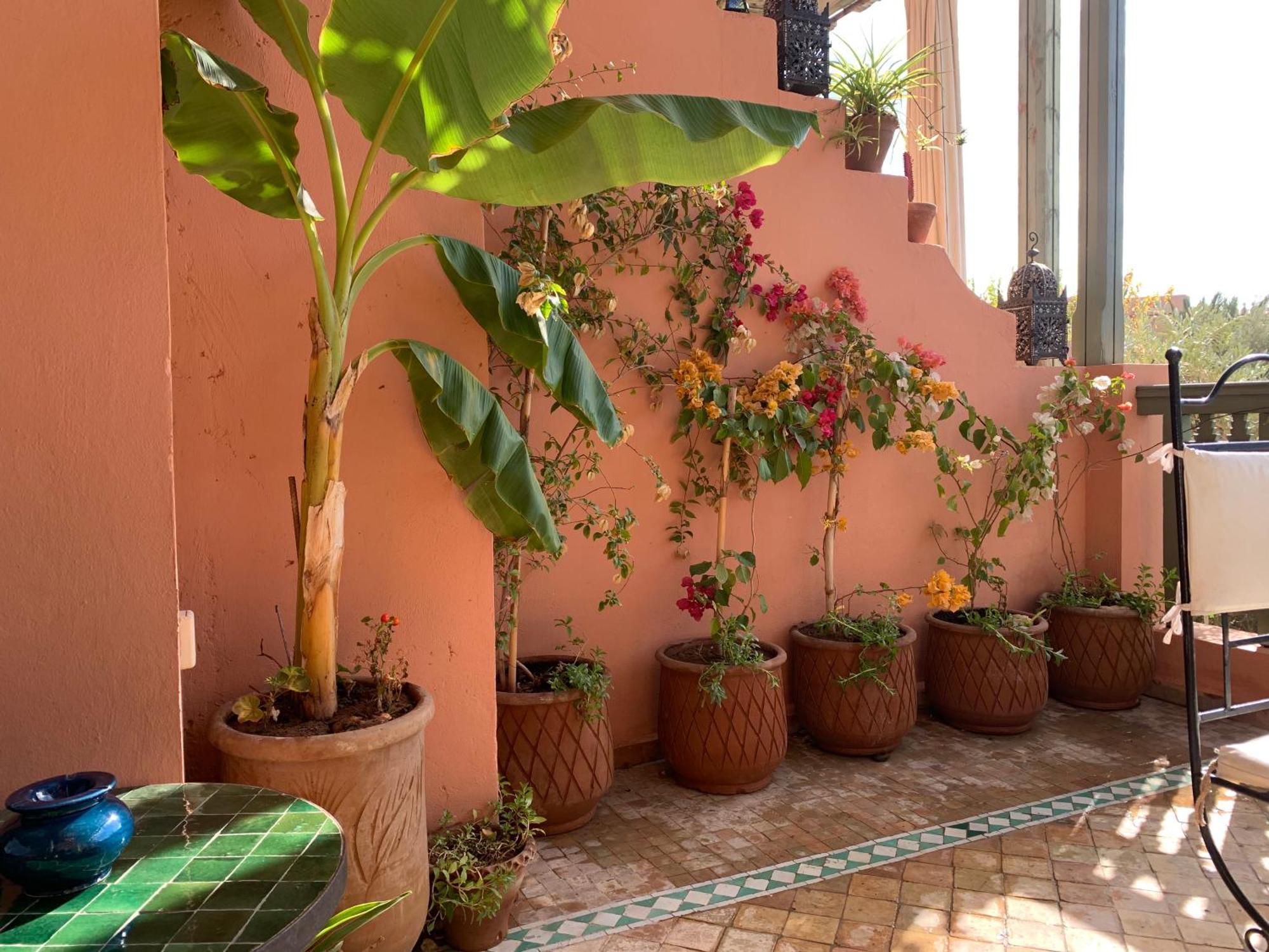 Abirkech * Marrakesh